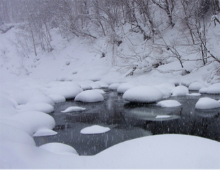 image-20130227133534.png