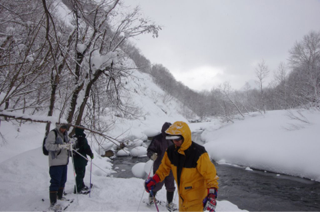 image-20130227133624.png